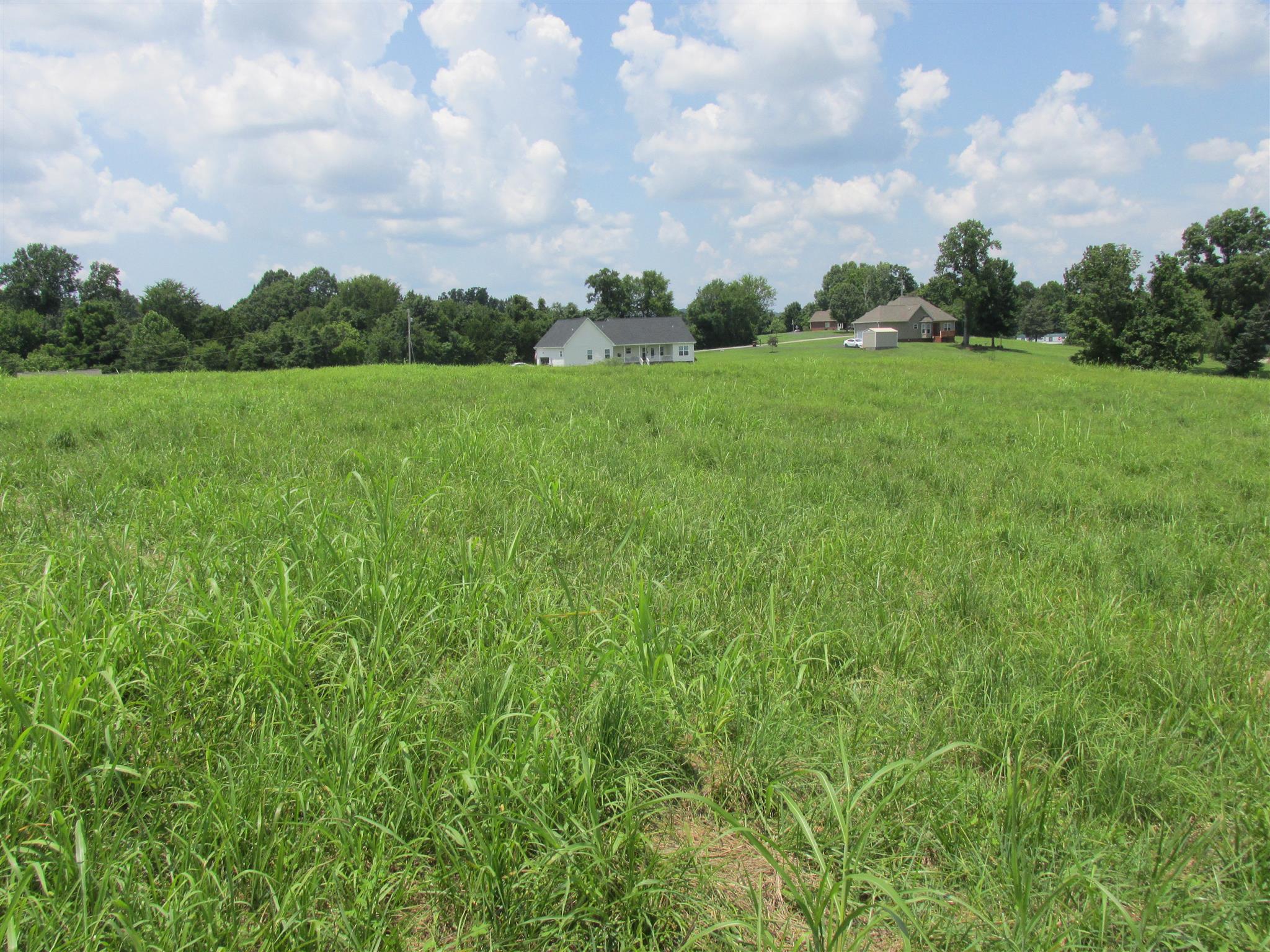 0 Rieves Bend Columbia, TN 38401 - Photo 3 of 8 Gallery Image 3