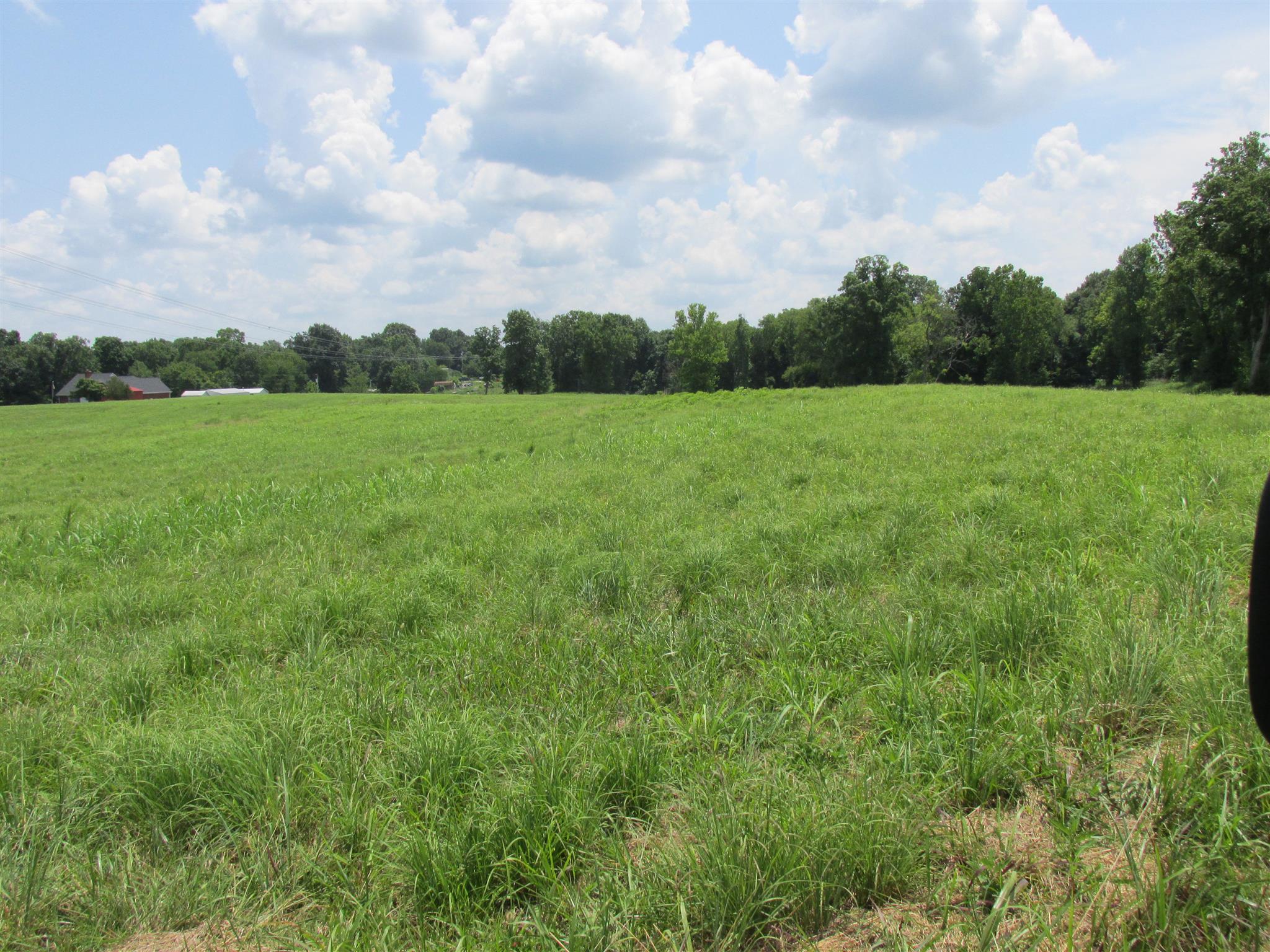 0 Rieves Bend Columbia, TN 38401 - Photo 4 of 8 Gallery Image 4
