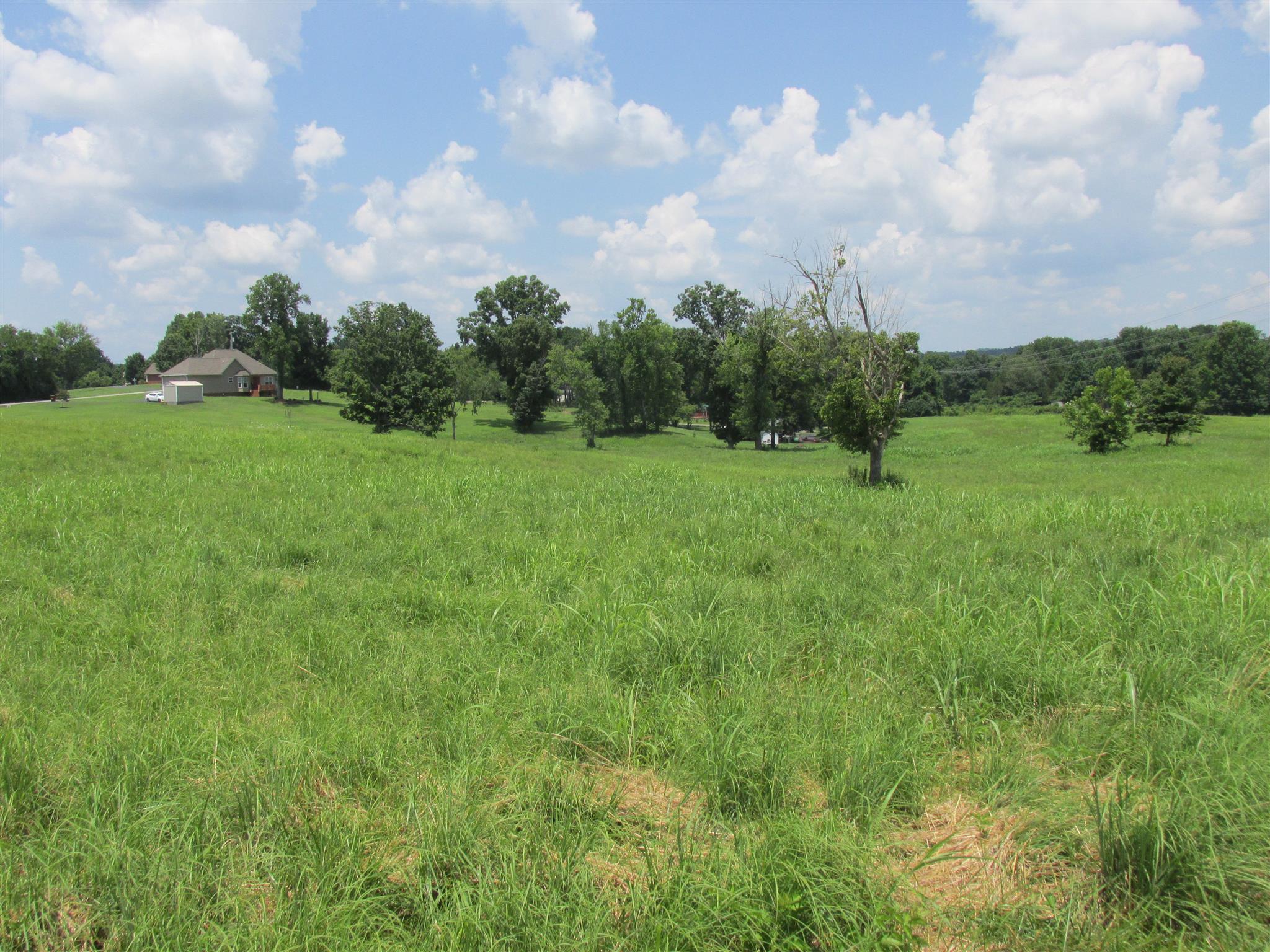 0 Rieves Bend Columbia, TN 38401 - Photo 6 of 8 Gallery Image 6