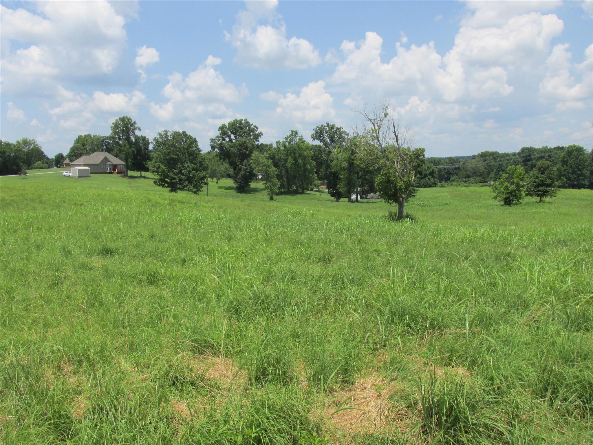 0 Rieves Bend Columbia, TN 38401 - Photo 7 of 8 Gallery Image 7