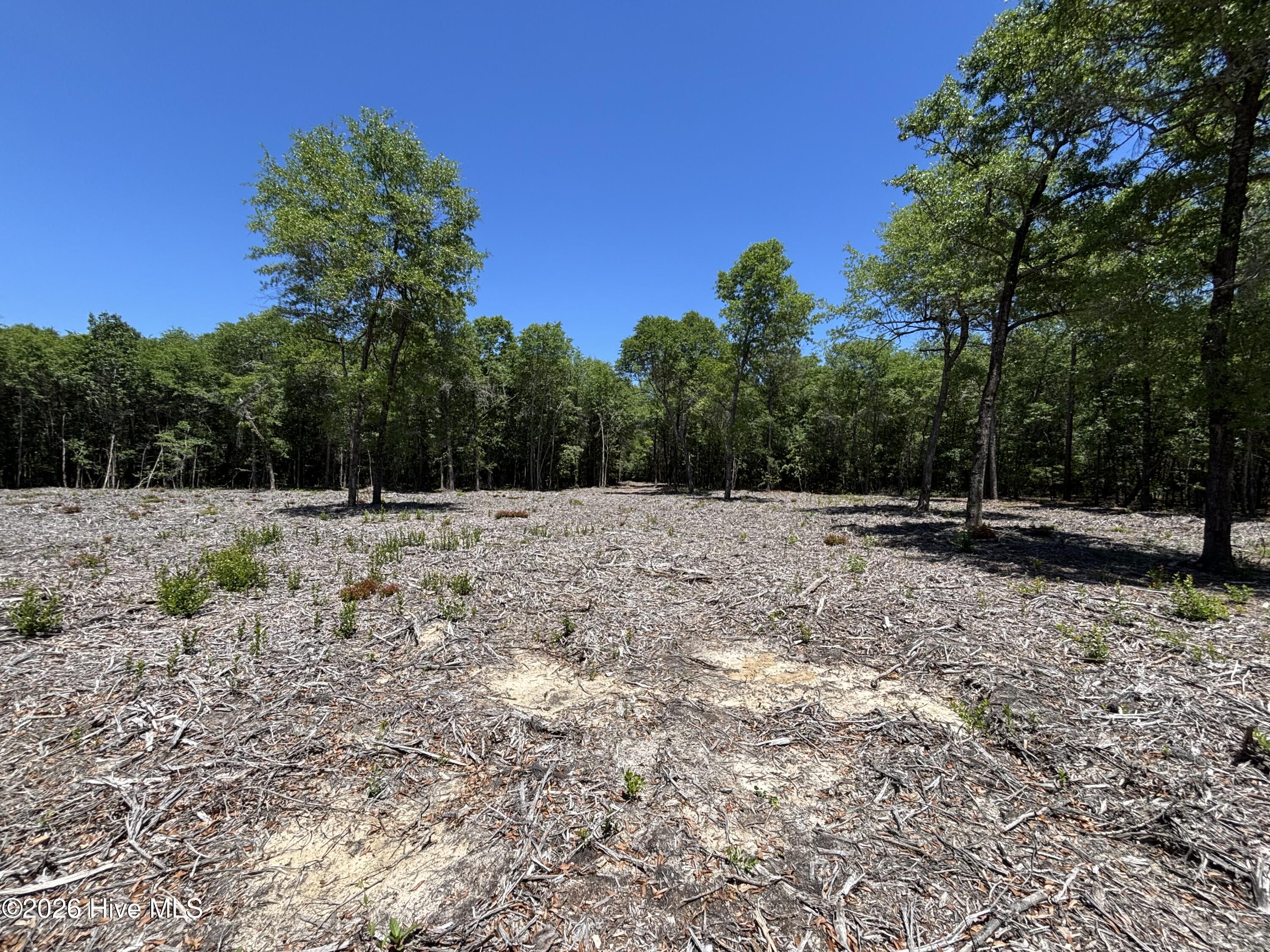 0 Warbonnet Road Springfield, SC 29146 - Photo 6 of 16 Cleared 1 Acre area