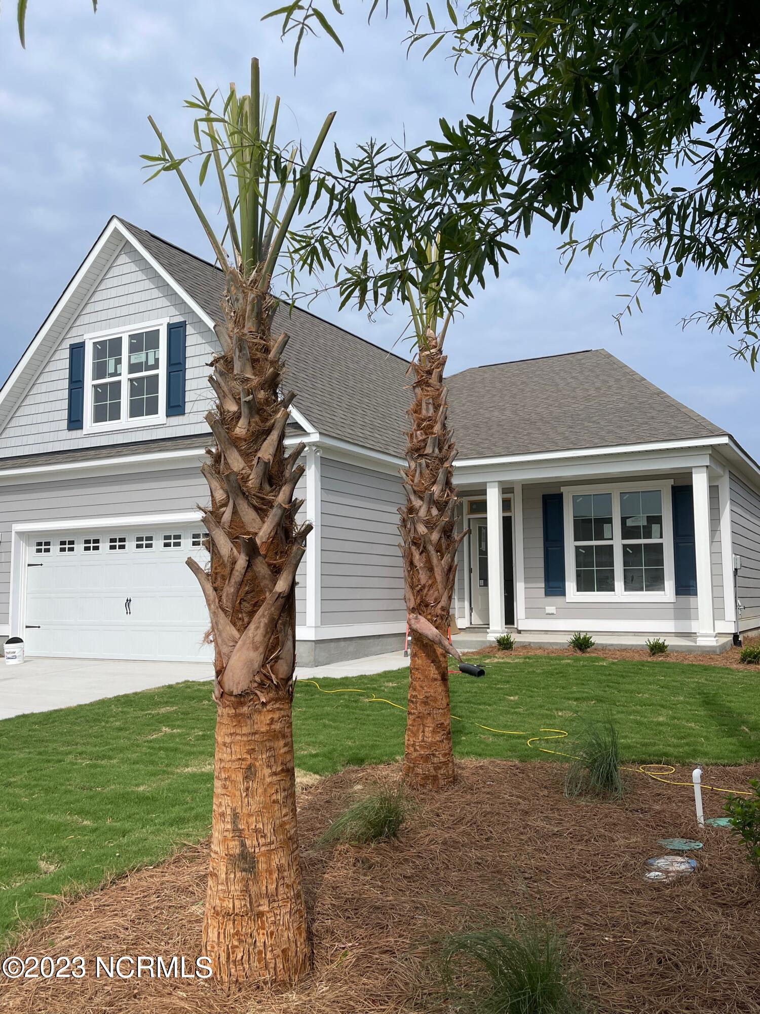 2355 Amorosa Loop Northeast Leland, NC 28451 - Photo 1 of 15 Front Elevation