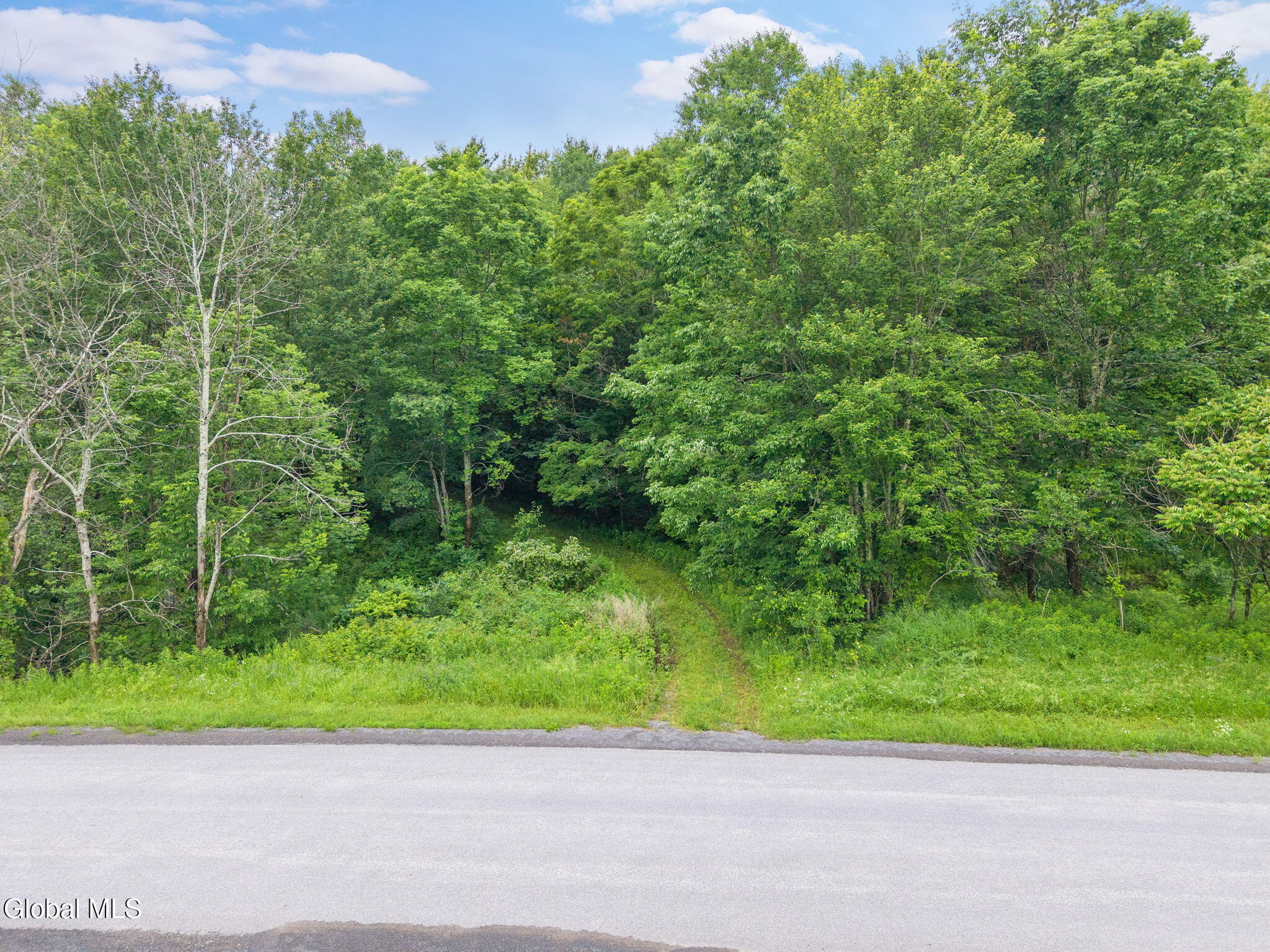 159 Ely Road Gilboa, NY 12076 - Photo 64 of 83 Entrance to Barn side of road.