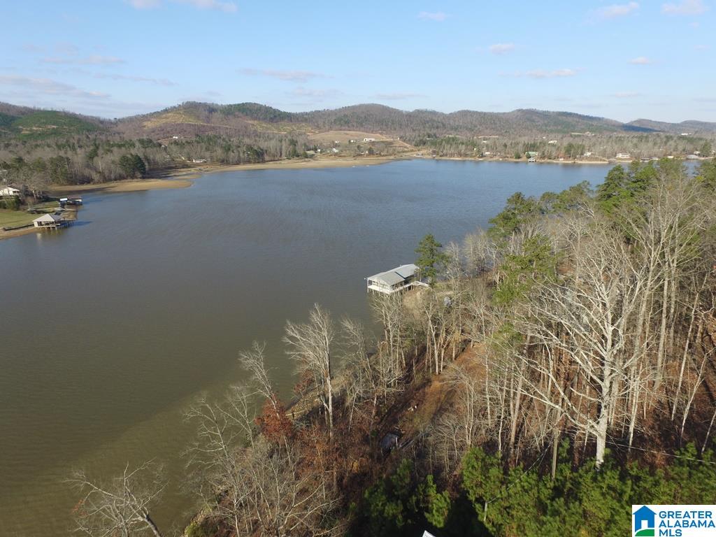 1633 Waldrop Road, Unit A Ashville, AL 35953 - Photo 7 of 14