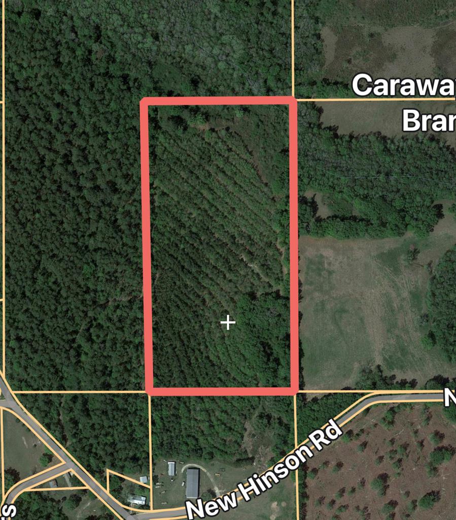 3912 New Hinson Road Slocomb, AL 36375 - Photo 11 of 11