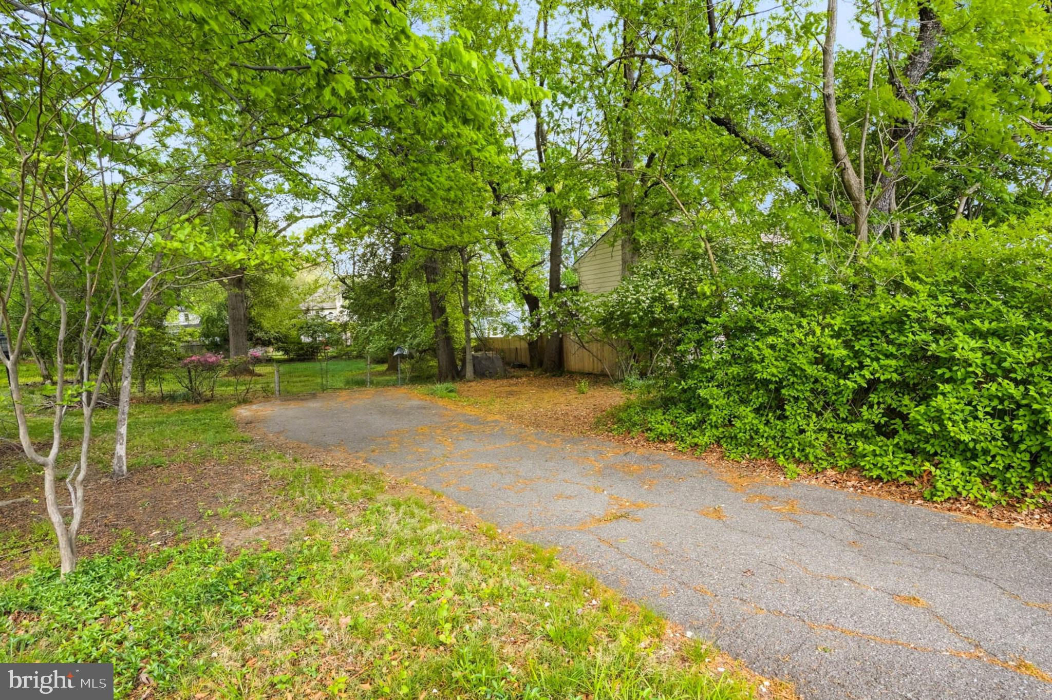 Parkman Road Silver Spring, MD 20903 - Photo 6 of 10 Gallery Image 6