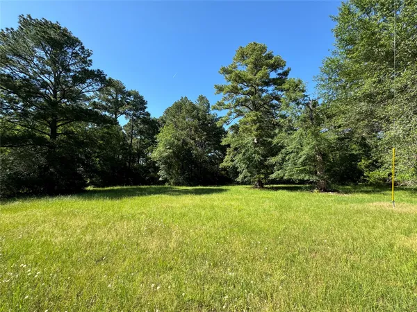 a view of a green yard