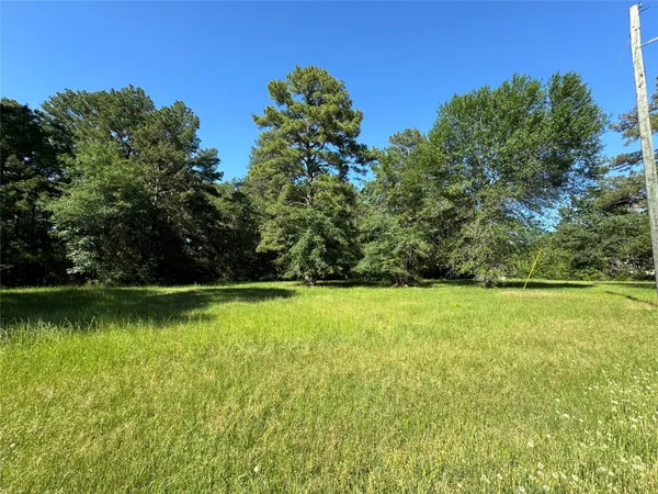 a view of a green yard