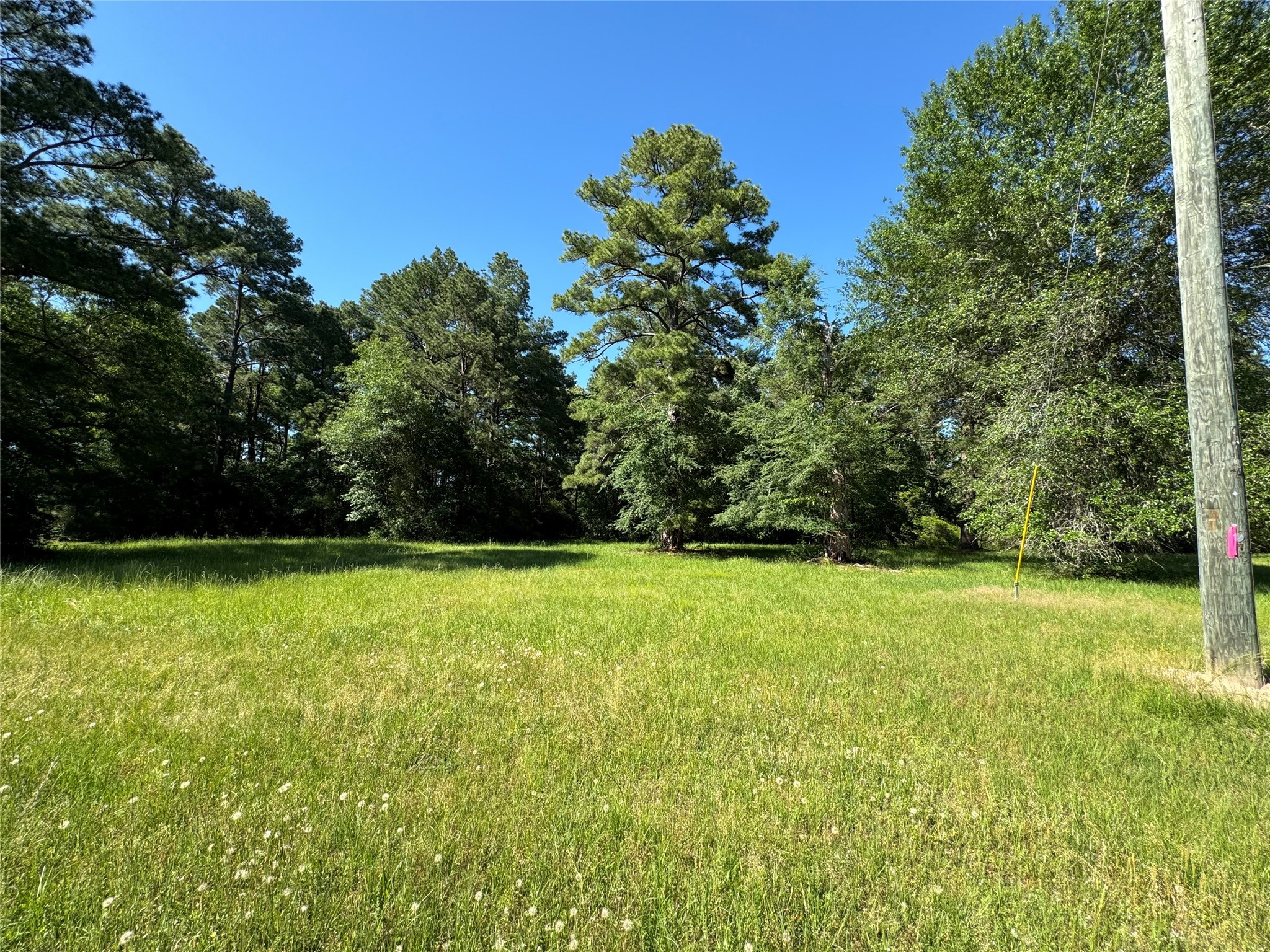 28 Oakridge North Trinity, TX 75862 - Photo 5 of 6 a view of a field with a trees