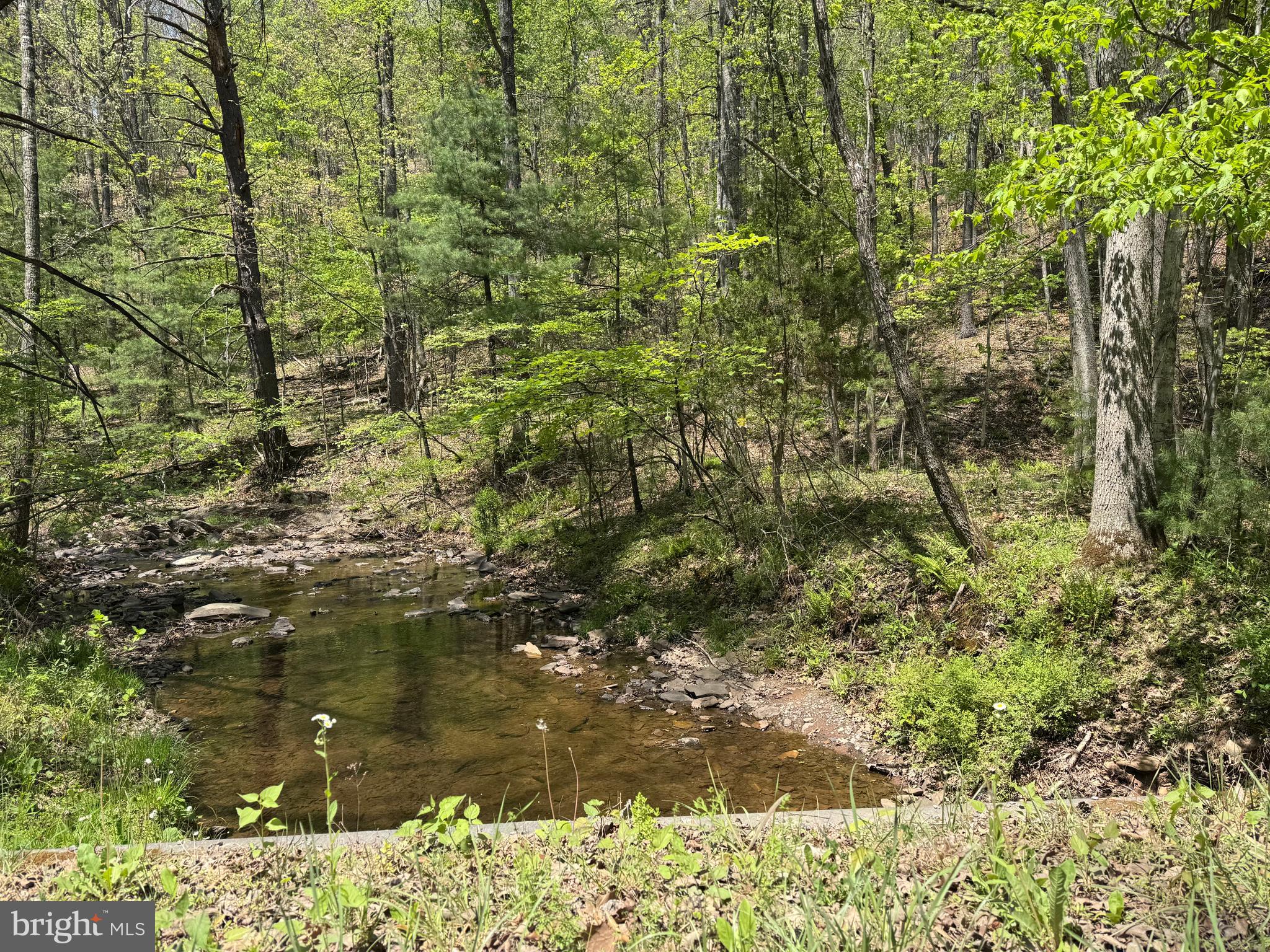 0 Shockeysville Road Winchester, VA 22603 - Photo 15 of 17