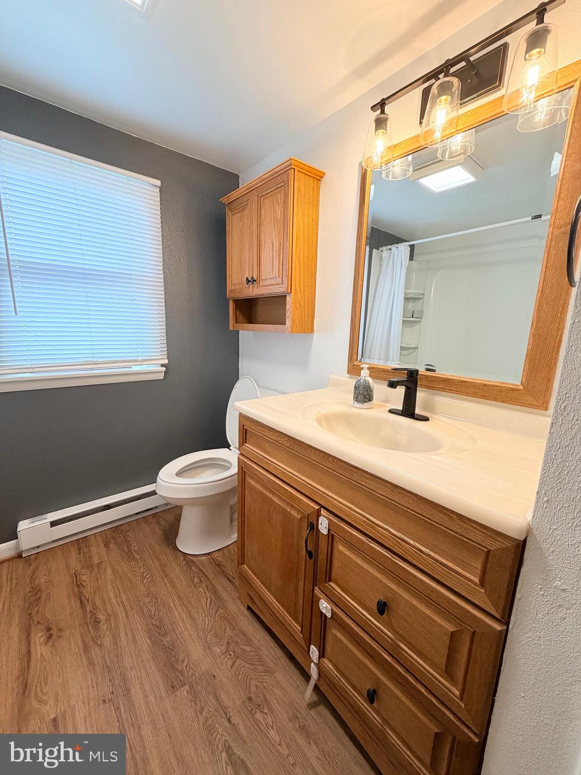 217 Oak Street Wiconisco, PA 17048 - Photo 20 of 31 a bathroom with a sink a toilet and mirror