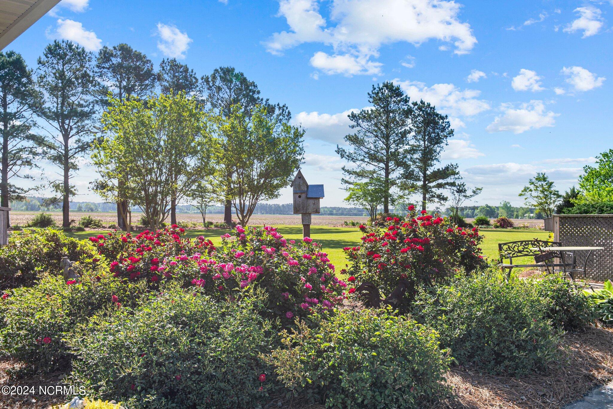 4824 Middle Road Trenton, NC 28585 - Photo 7 of 67 99-web-or-mls-DSC_4299