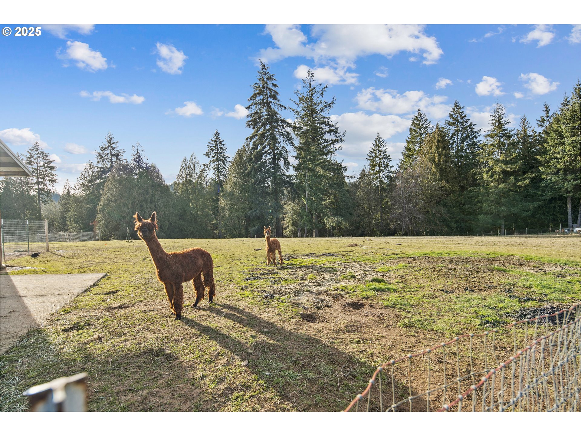20143 Southwest Kruger Road Sherwood, OR 97140 - Photo 48 of 48 Gallery Image 48