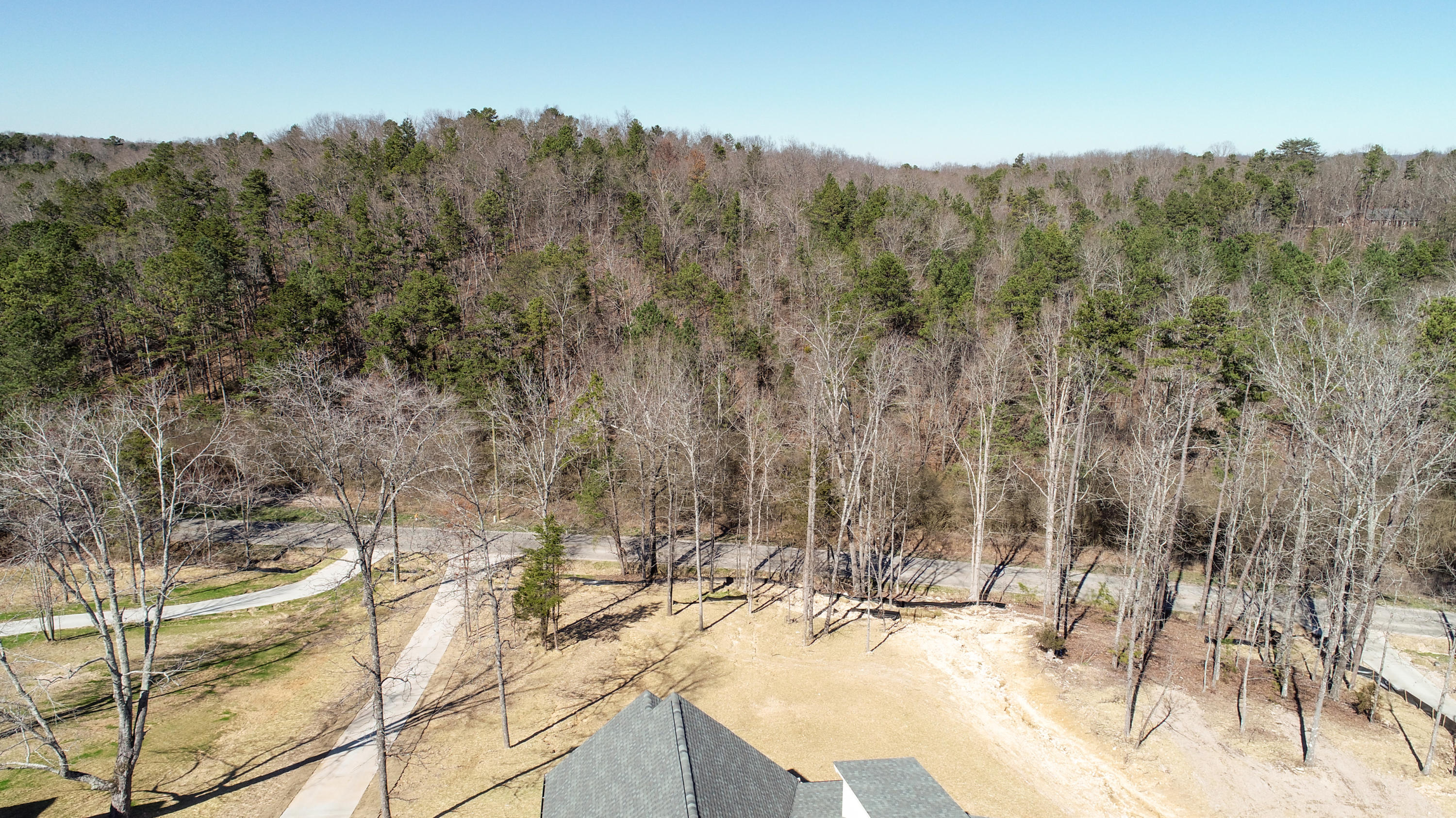 853 Dedmon Road, Unit LOT 2 Ringgold, GA 30736 - Photo 35 of 37 Aerial 3