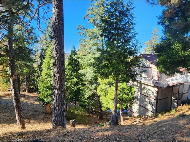 a view of a street with potted plants and large trees