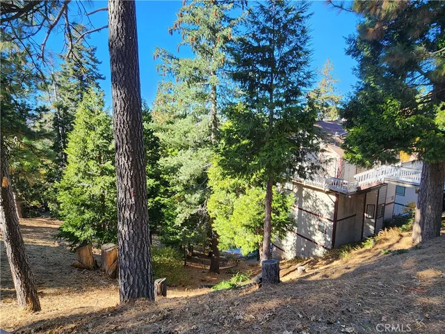 a view of a yard with plants and a large tree