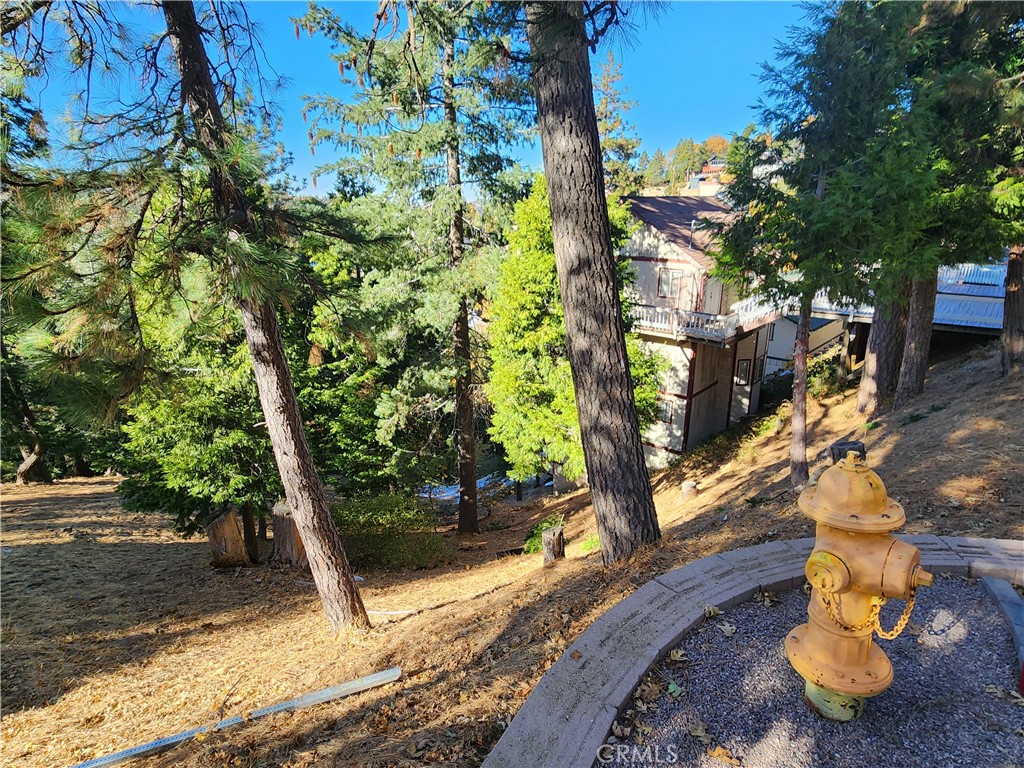 800 Arbula Drive Crestline, CA 92325 - Photo 14 of 21 a view of a yard with plants