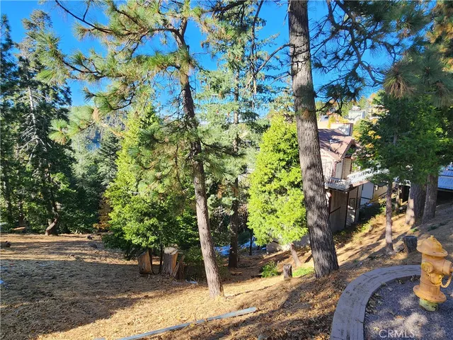 a view of a yard with plants and trees