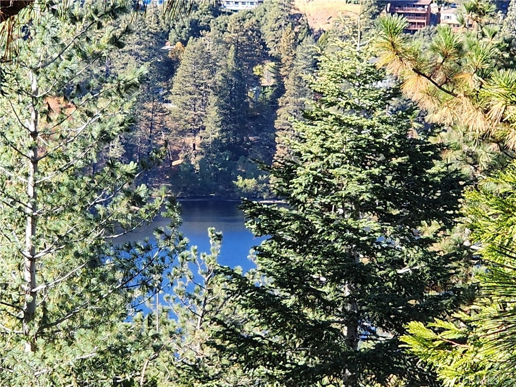 800 Arbula Drive Crestline, CA 92325 - Photo 16 of 21