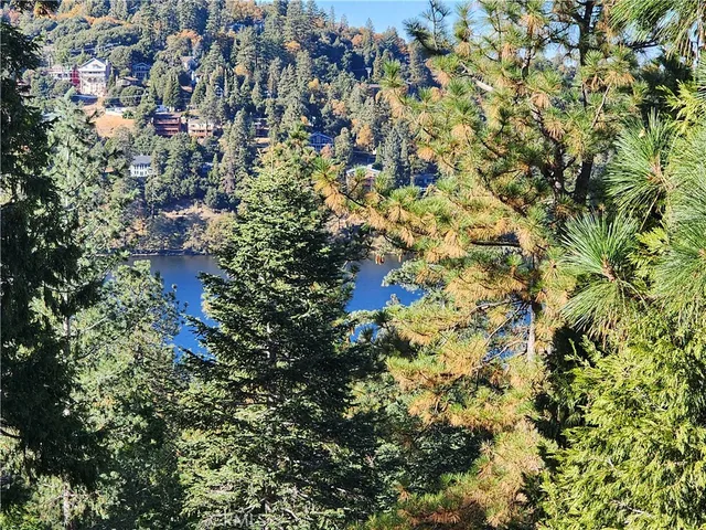 a view of a city with flower plants