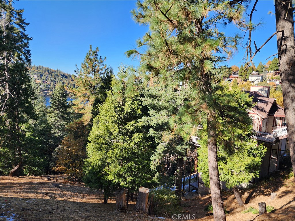 800 Arbula Drive Crestline, CA 92325 - Photo 19 of 21 a view of a city with flower plants