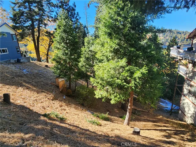 a view of a tree with a yard