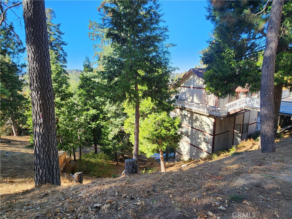 800 Arbula Drive Crestline, CA 92325 - Photo 10 of 21 a view of a tree in the middle of a yard