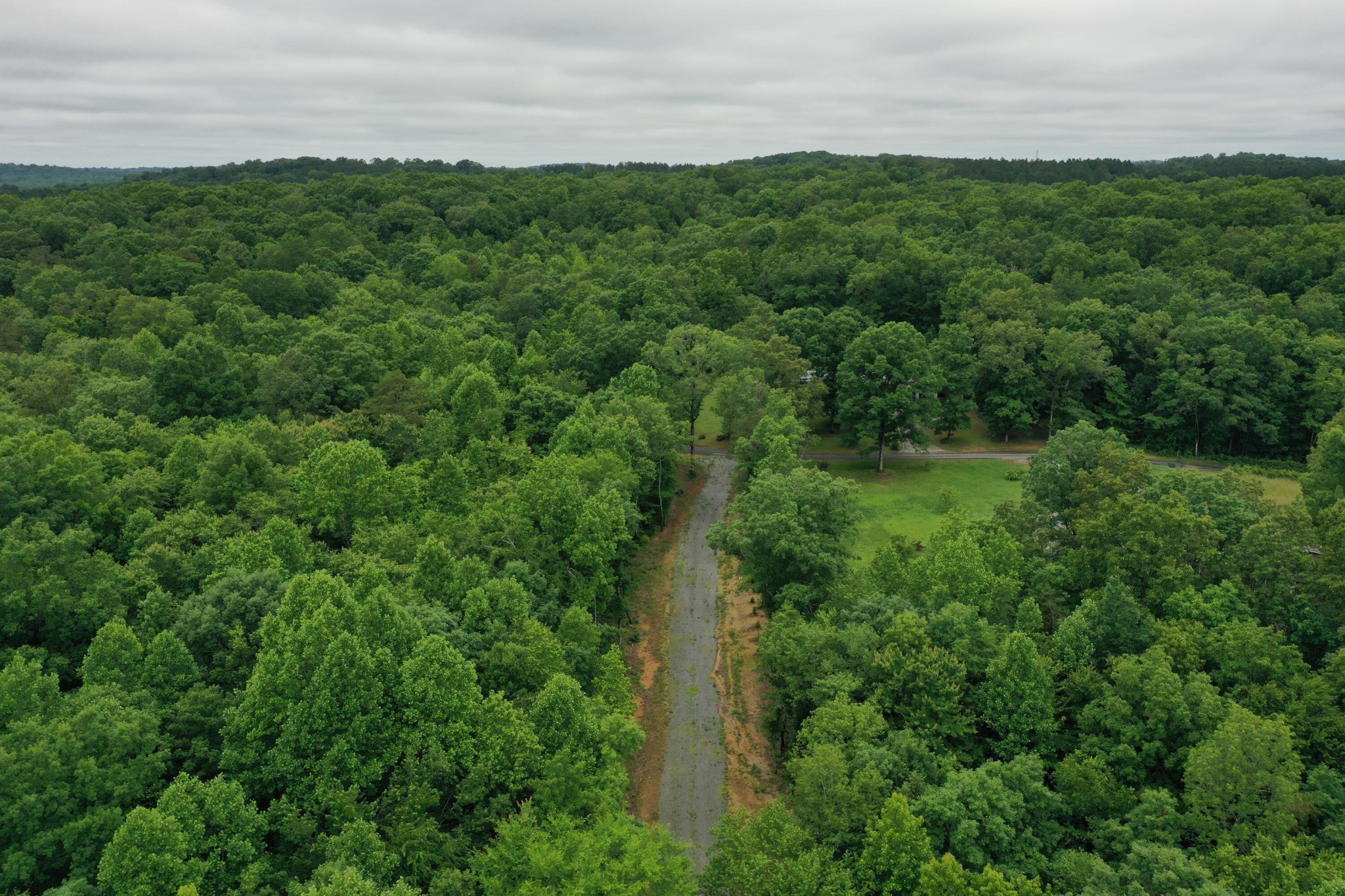 a view of a lush green space