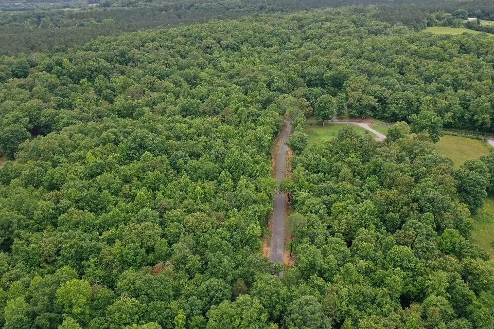 191 County Road 707 Athens, TN 37303 - Photo 5 of 7 a view of a forest with a tree