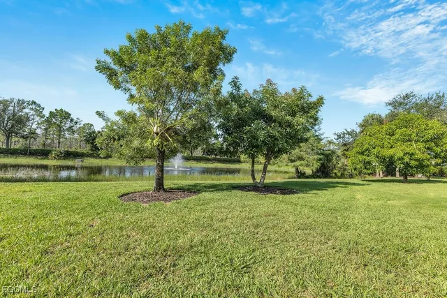 a view of a park with trees in the background