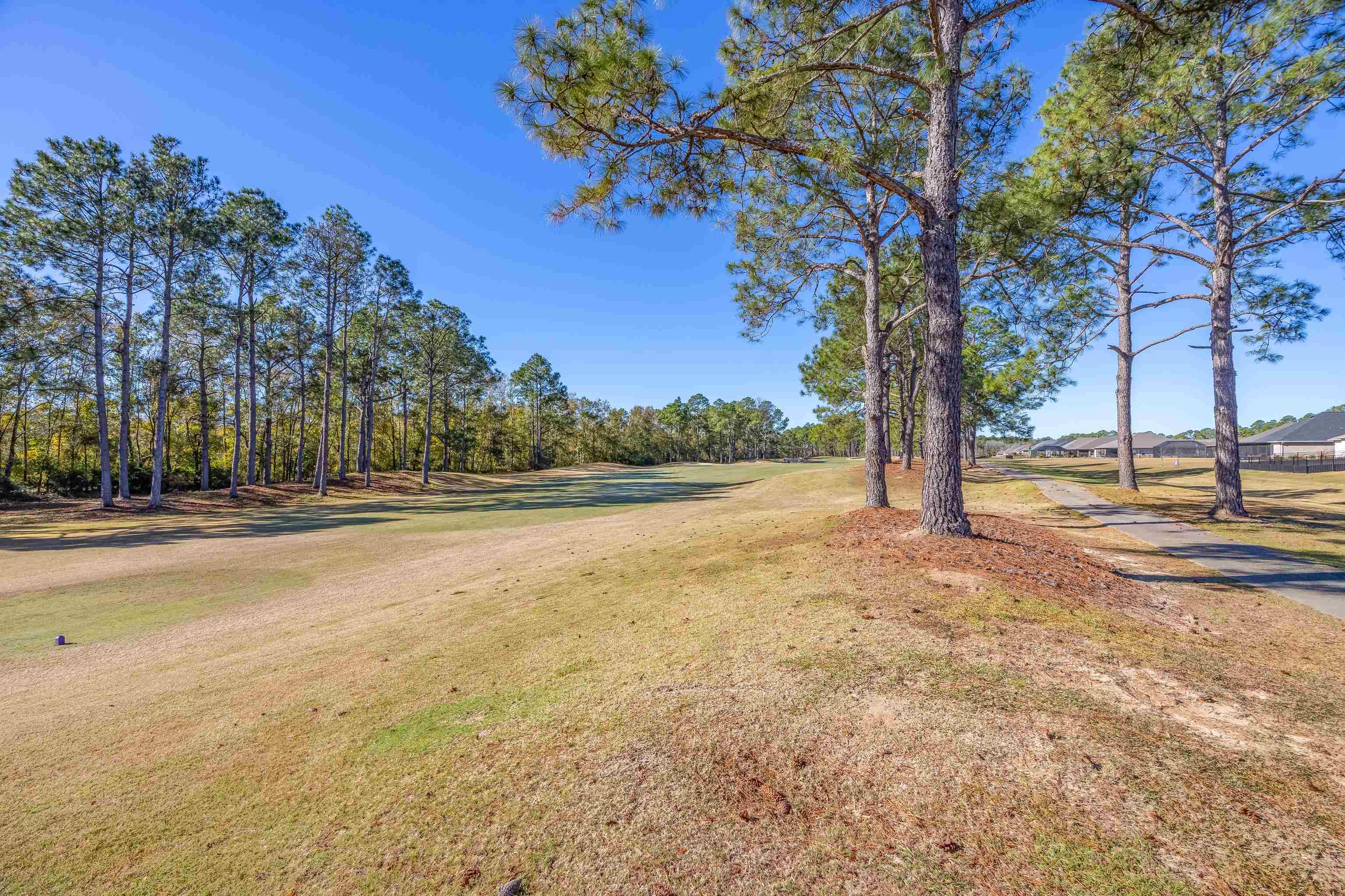 10064 Lakeview Drive Foley, AL 36535 - Photo 44 of 51