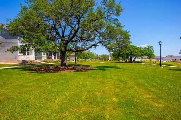 a view of a park with large trees