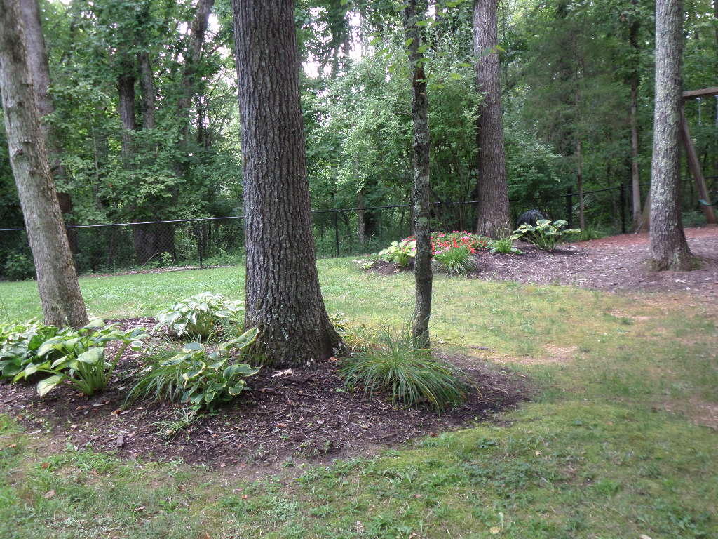 102 East Melbourne Road Oak Ridge, TN 37830 - Photo 33 of 34 Back Yard