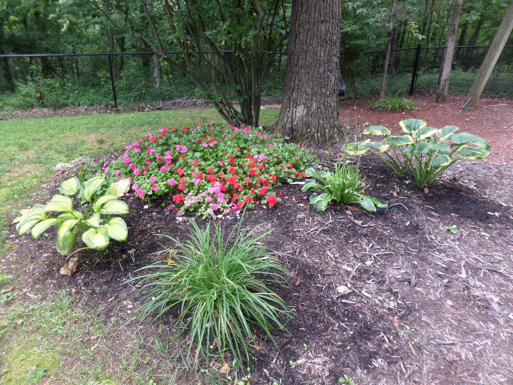 102 East Melbourne Road Oak Ridge, TN 37830 - Photo 34 of 34 Back Yard