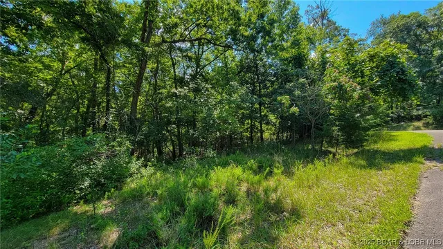 $12,000 | Lot #866 Grand Cypress Court, Sunrise Beach, MO 65079