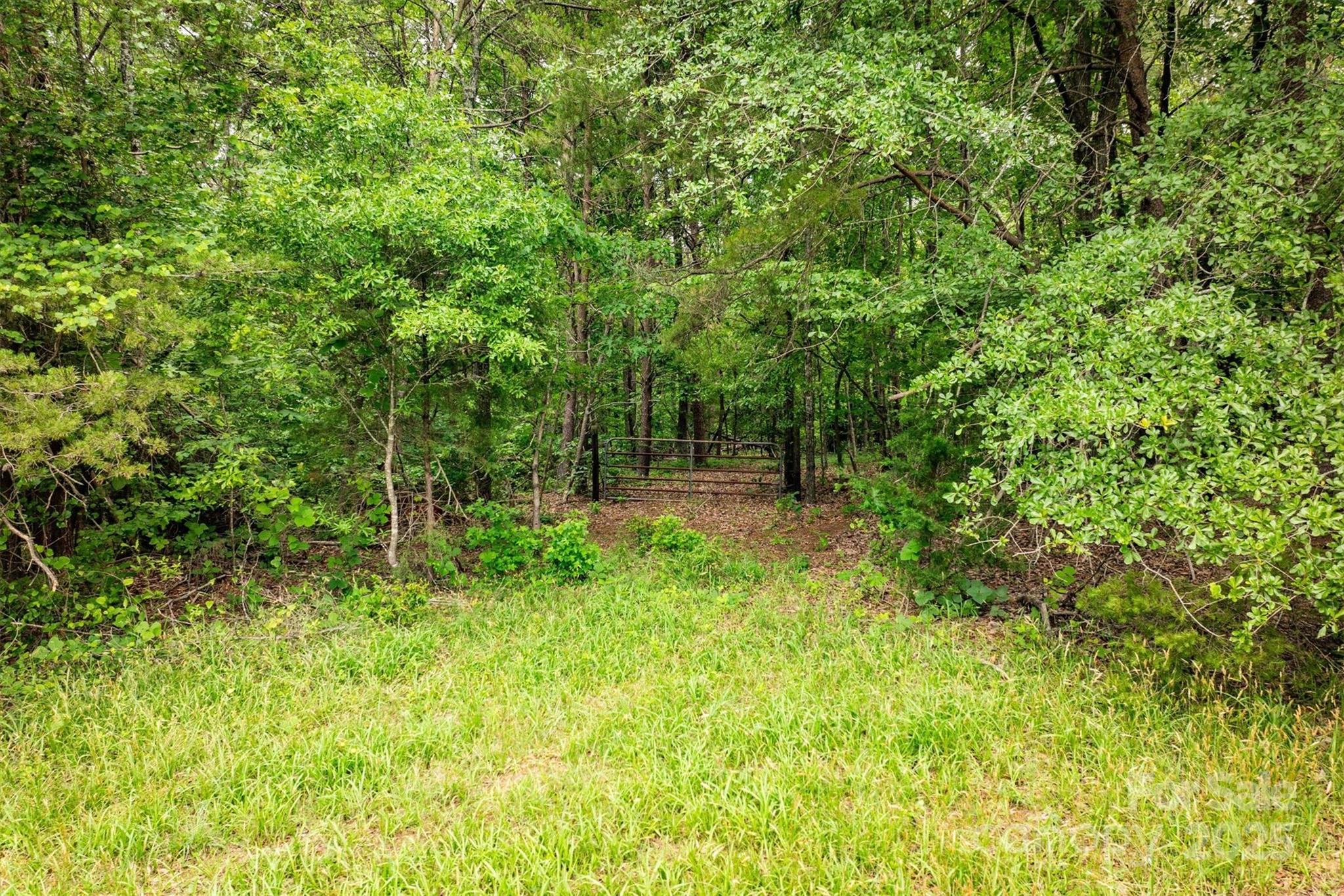 161 Windy Knoll Rutherfordton, NC 28139 - Photo 11 of 20 a view of outdoor space and yard
