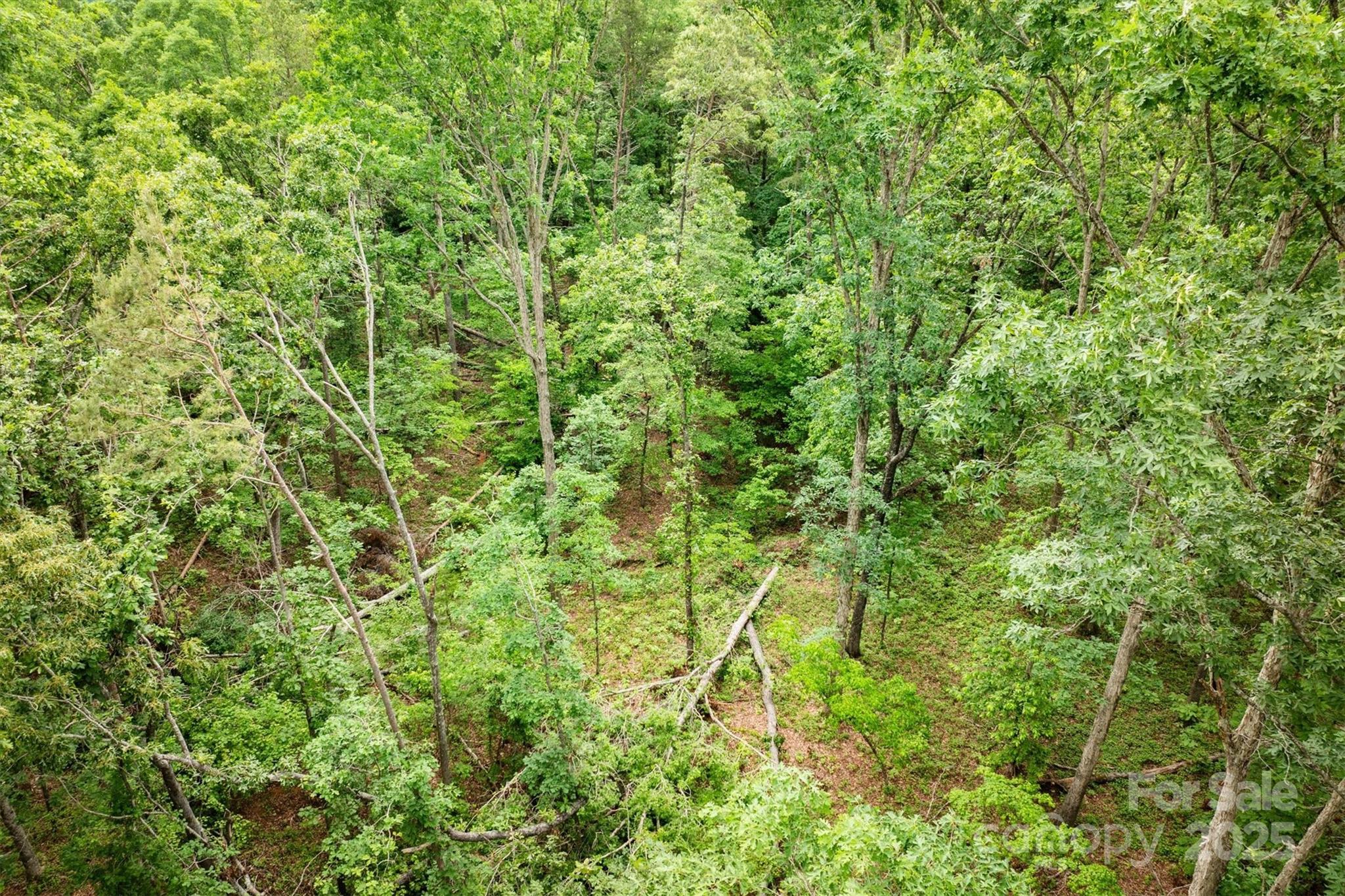 161 Windy Knoll Rutherfordton, NC 28139 - Photo 15 of 20