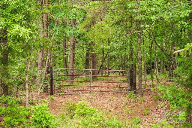 a view of backyard with wooden fence