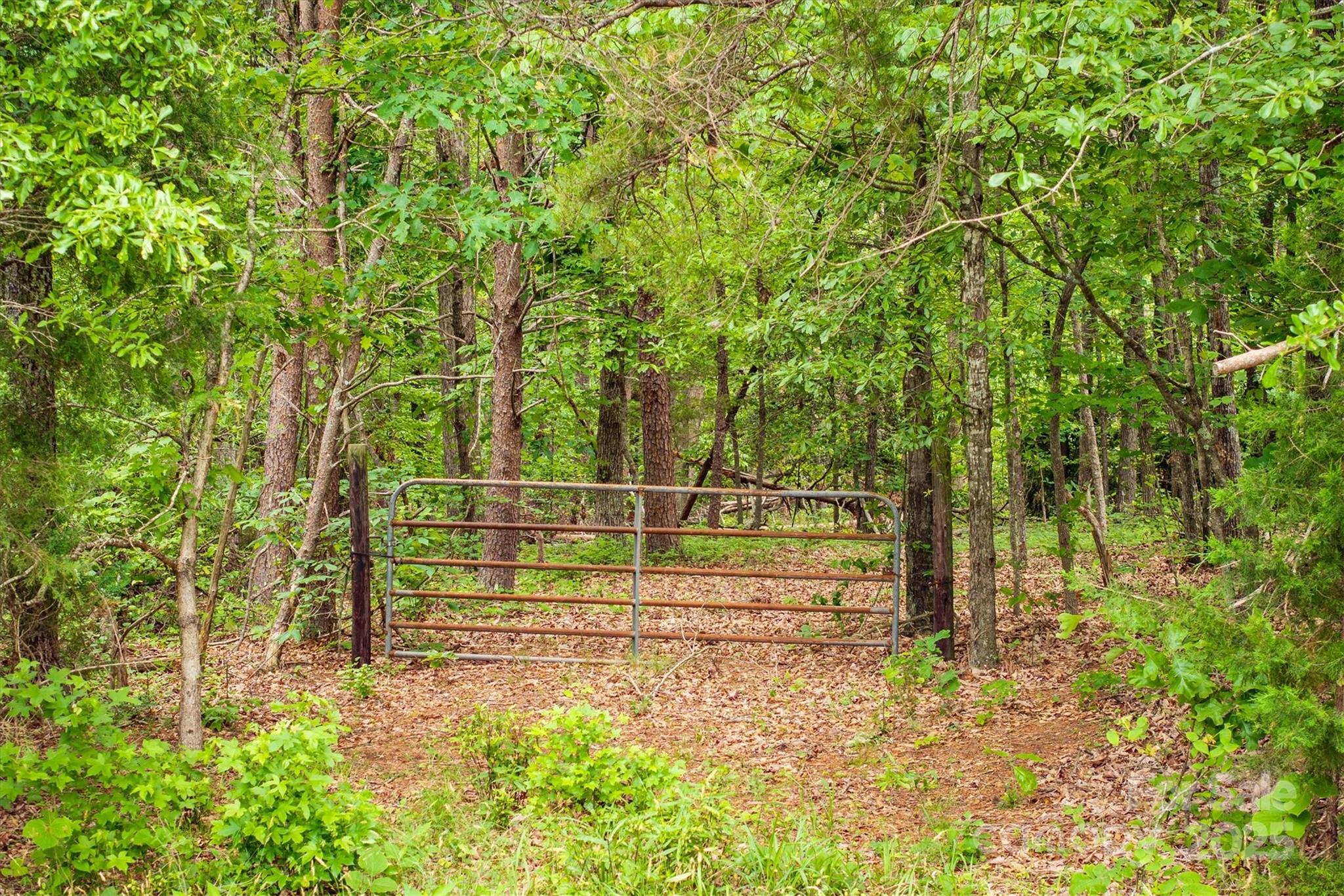 161 Windy Knoll Rutherfordton, NC 28139 - Photo 2 of 20 a view of backyard with wooden fence
