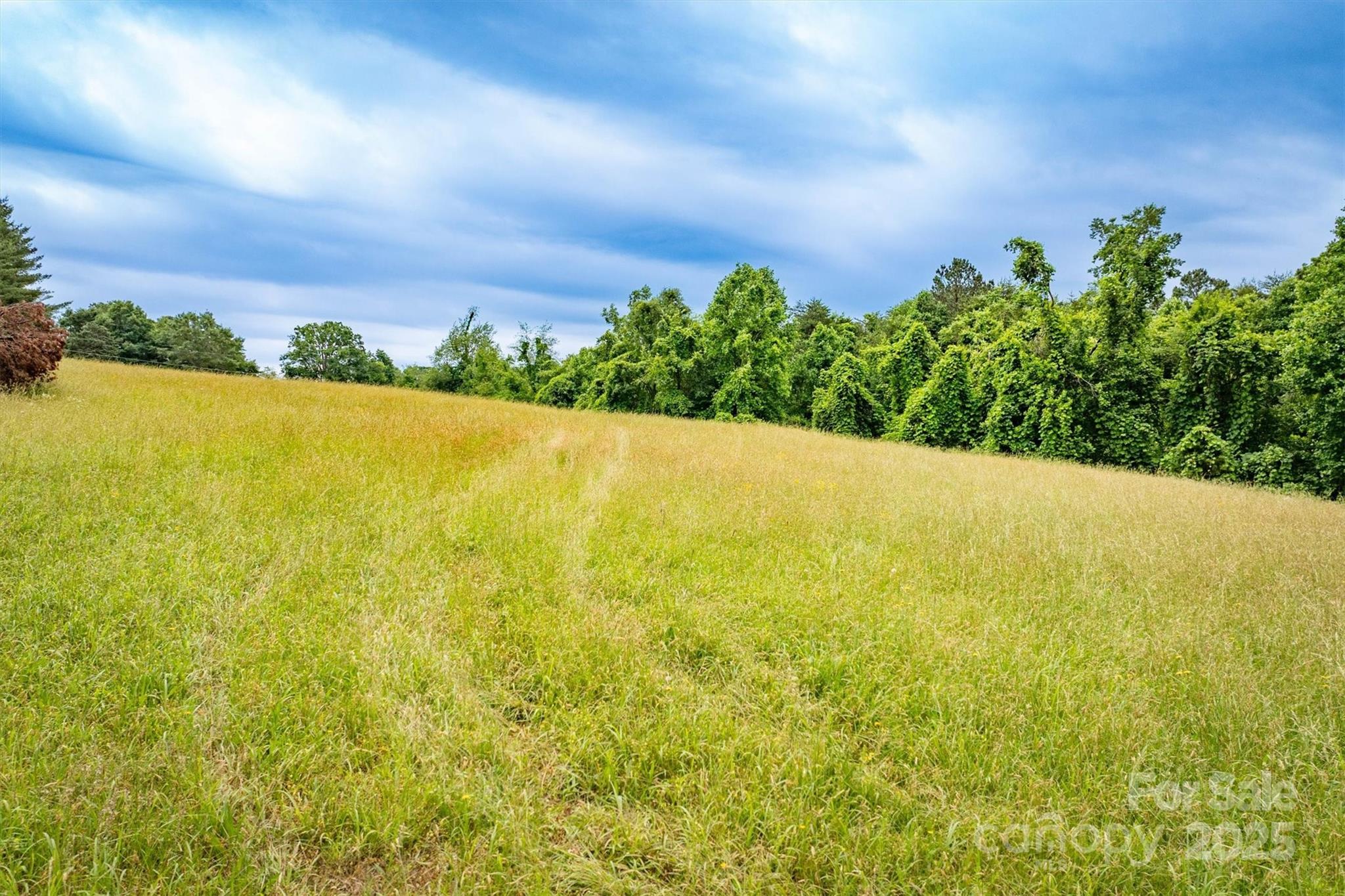 161 Windy Knoll Rutherfordton, NC 28139 - Photo 10 of 20 a view of an ocean from a building