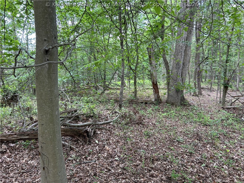 0 Evergreen Road Fraziers Bottom, WV 25082 - Photo 17 of 18 Gallery Image 17