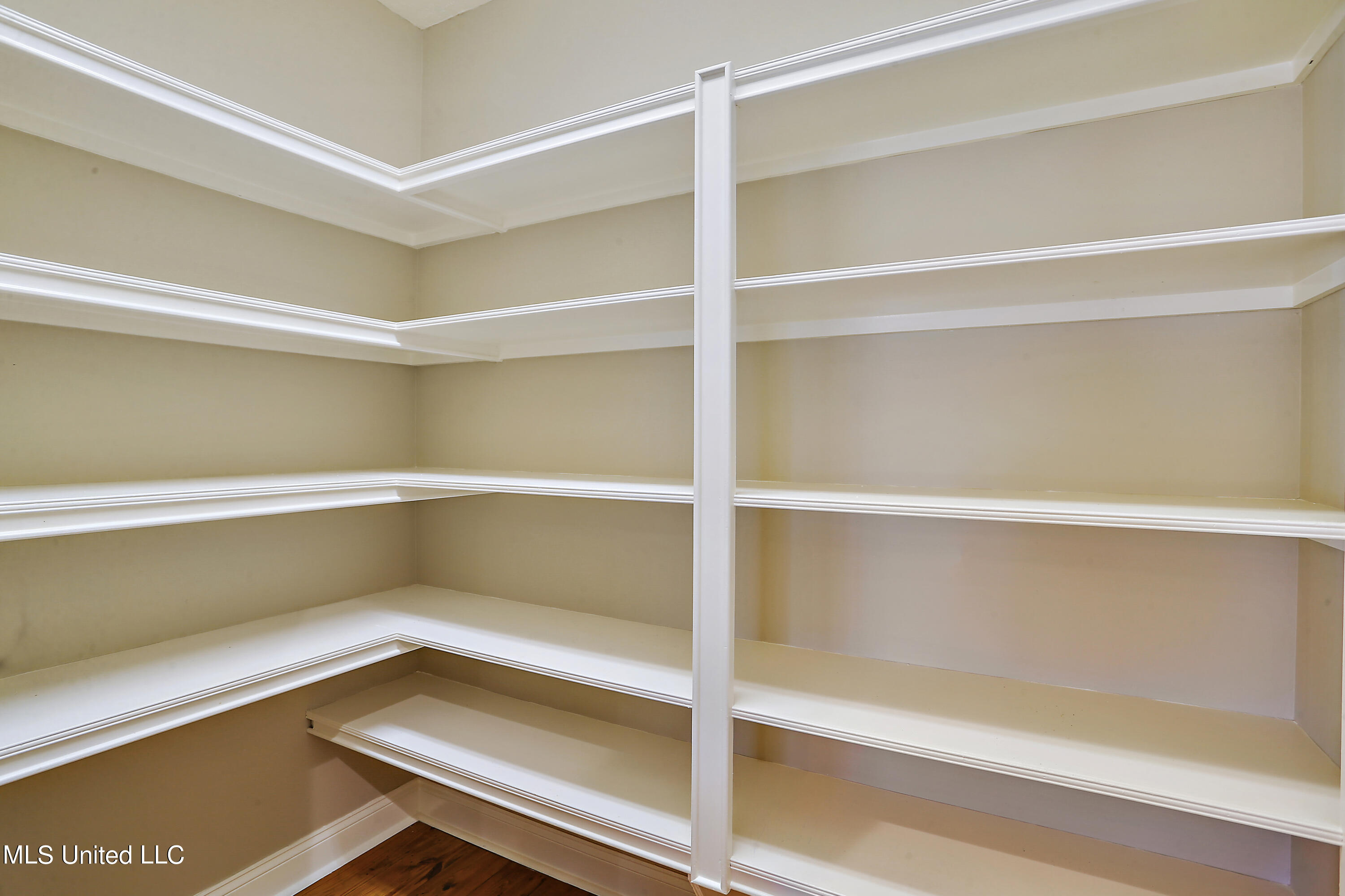 919 Ridgeside Drive Brandon, MS 39042 - Photo 17 of 38 pantry
