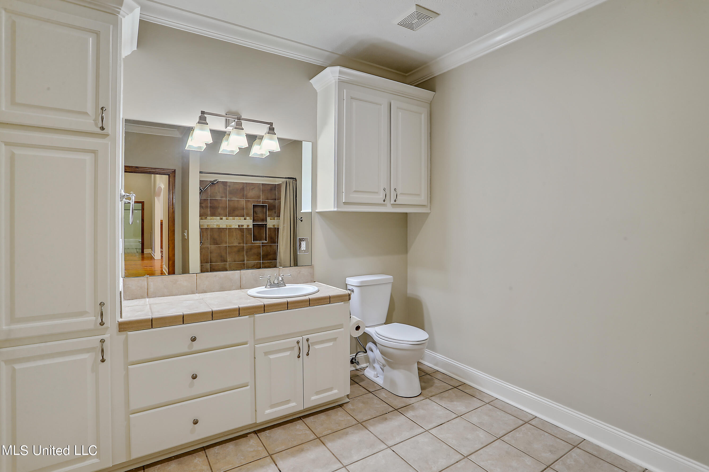 919 Ridgeside Drive Brandon, MS 39042 - Photo 32 of 38 bathroom 3jpg