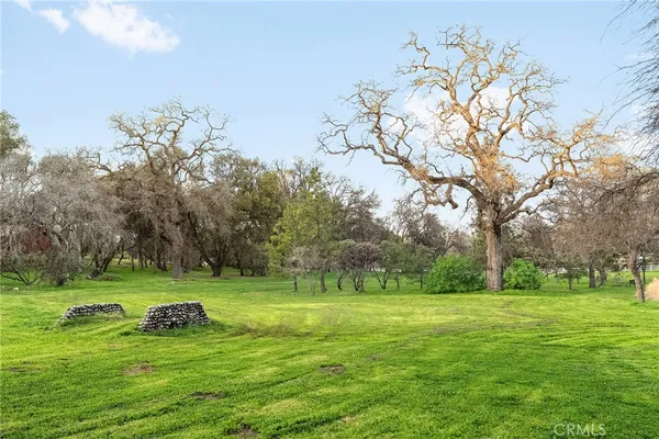 a view of a park with large trees