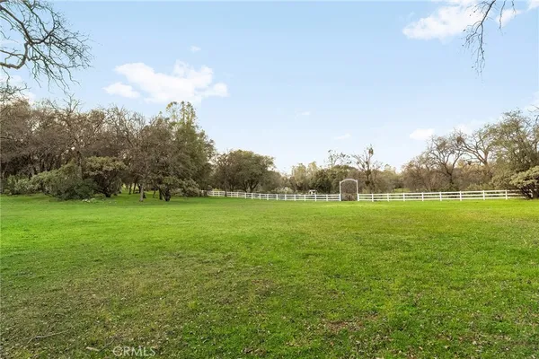 a view of grassy field with trees