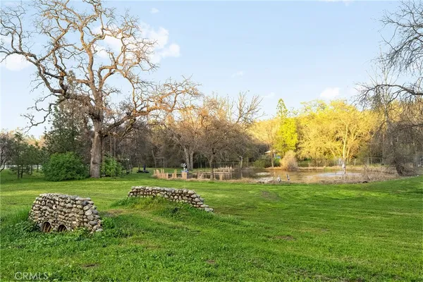 a view of a park and trees