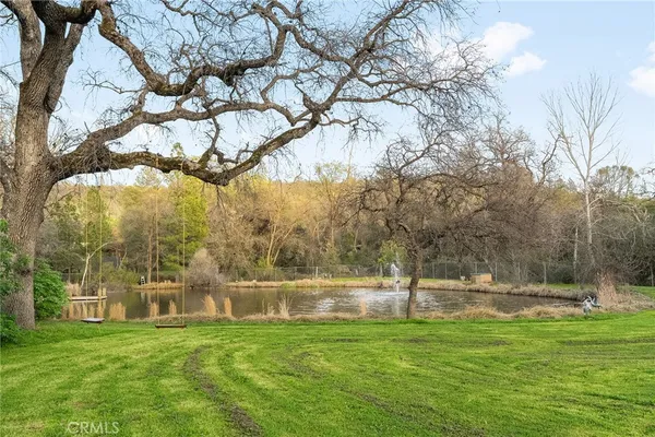 a view of a park with large trees