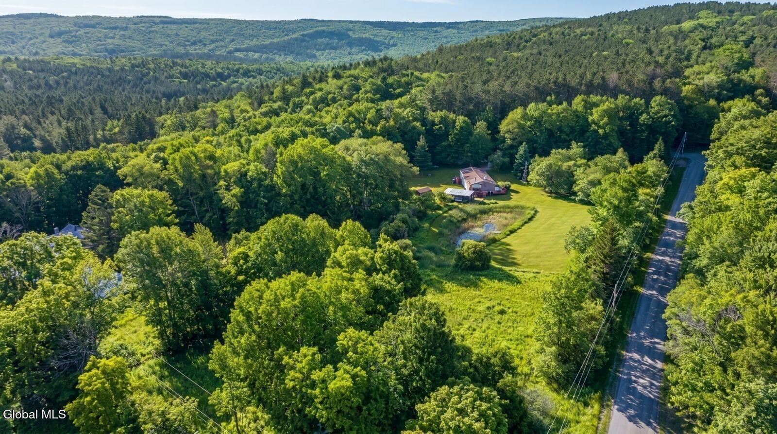 171 Rossman Hill Road Summit, NY 12175 - Photo 6 of 54 171-Rossman-Hill-Rd-Summit-Exterior (18)