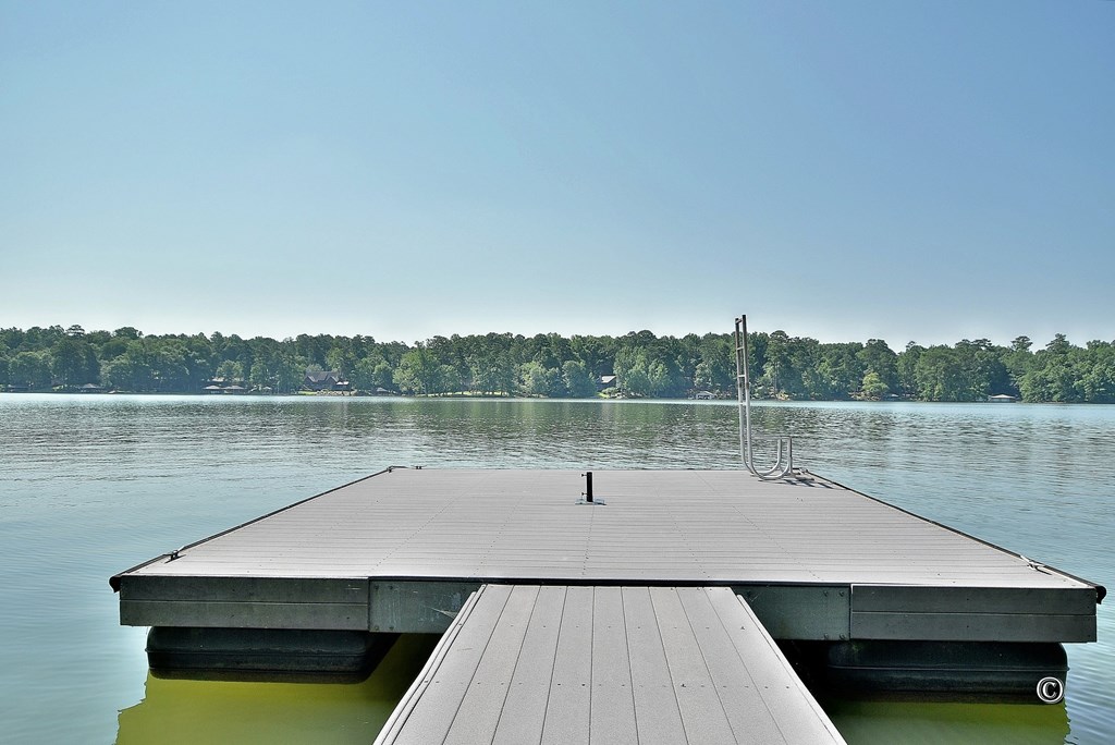 115 Cardinal Road Hamilton, GA 31811 - Photo 30 of 35 Floating dock