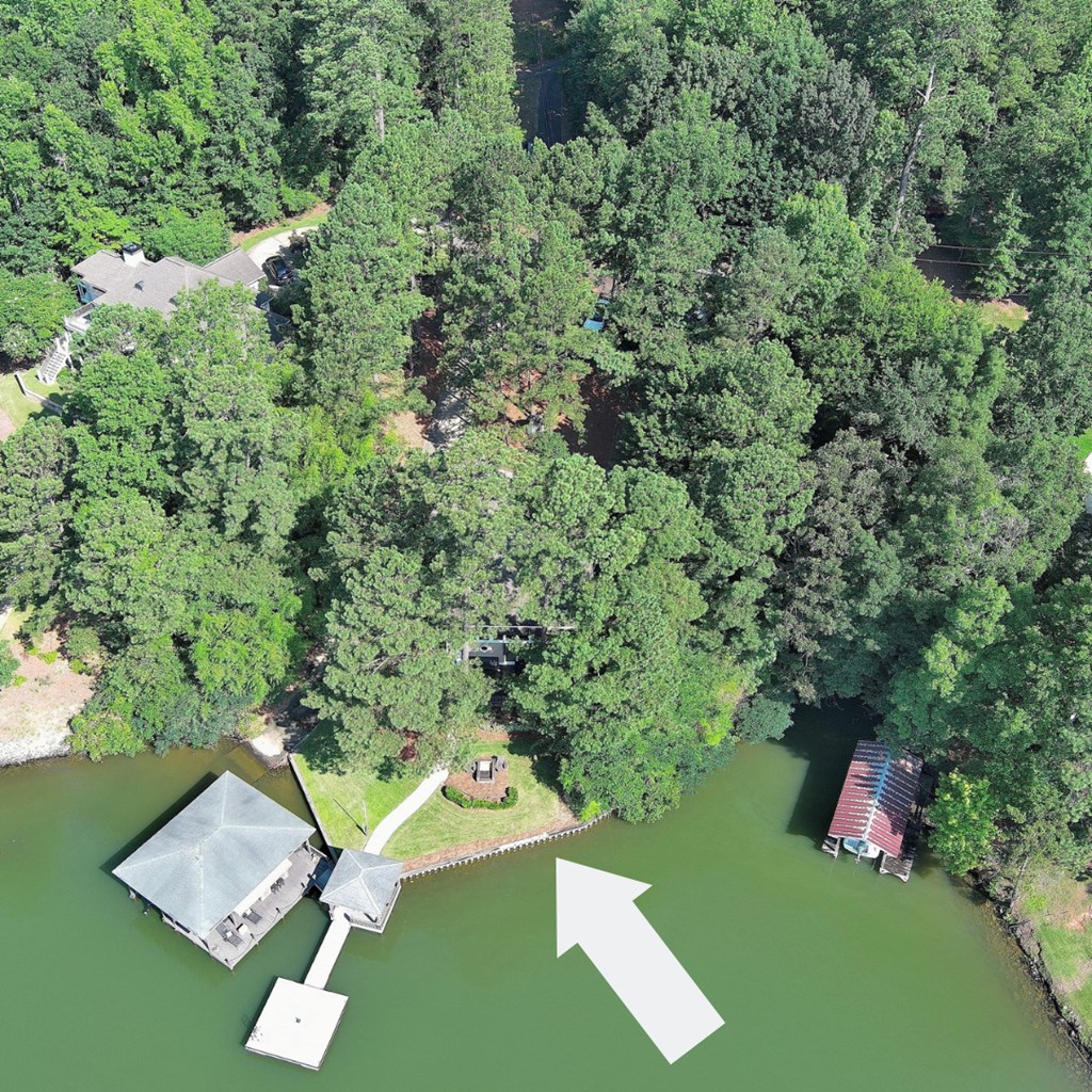 115 Cardinal Road Hamilton, GA 31811 - Photo 33 of 35 Aerial view of home